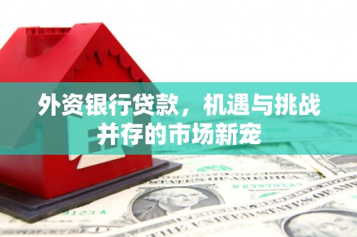 合川外资银行贷款，机遇与挑战并存的市场新宠