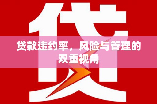 合川贷款违约率，风险与管理的双重视角