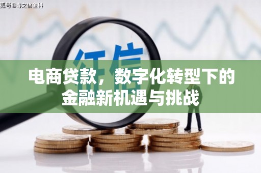 合川电商贷款，数字化转型下的金融新机遇与挑战