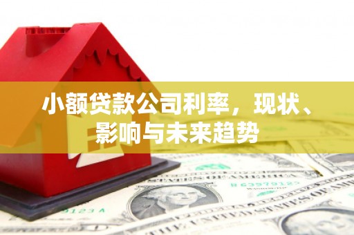 合川小额贷款公司利率，现状、影响与未来趋势