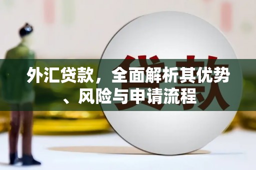 合川外汇贷款，全面解析其优势、风险与申请流程