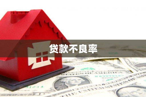 合川贷款不良率
