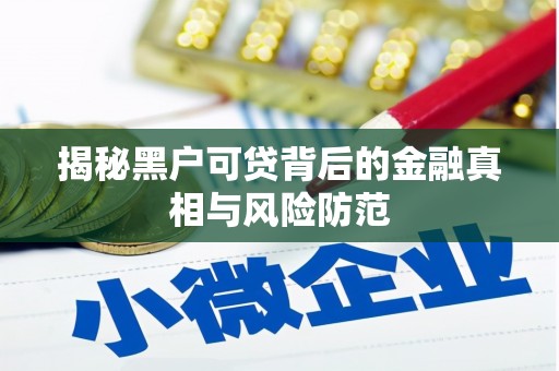 合川揭秘黑户可贷背后的金融真相与风险防范
