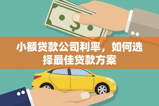 合川小额贷款公司利率，如何选择最佳贷款方案