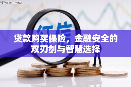 合川贷款购买保险，金融安全的双刃剑与智慧选择