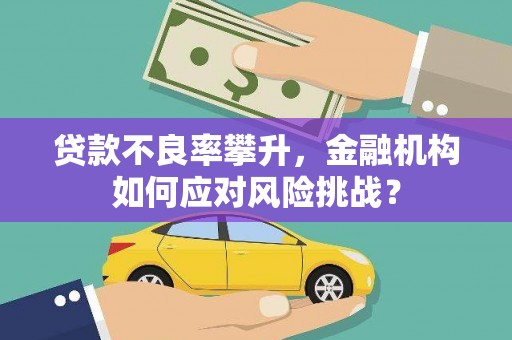 合川贷款不良率攀升，金融机构如何应对风险挑战？
