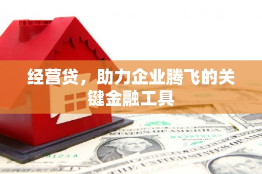 合川经营贷，助力企业腾飞的关键金融工具