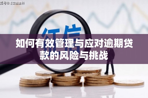 合川如何有效管理与应对逾期贷款的风险与挑战