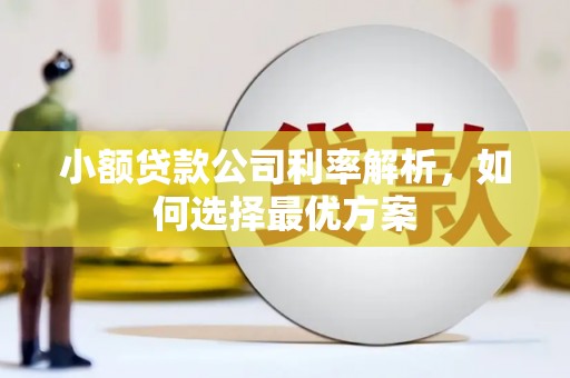 合川小额贷款公司利率解析，如何选择最优方案
