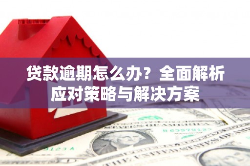 合川贷款逾期怎么办？全面解析应对策略与解决方案