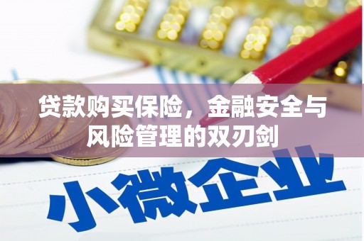 合川贷款购买保险，金融安全与风险管理的双刃剑