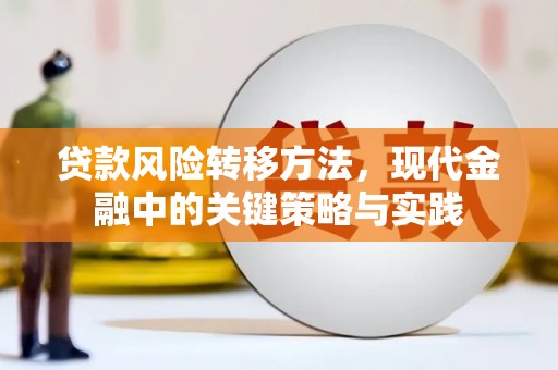 合川贷款风险转移方法，现代金融中的关键策略与实践