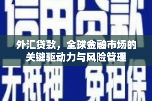 合川外汇贷款，全球金融市场的关键驱动力与风险管理