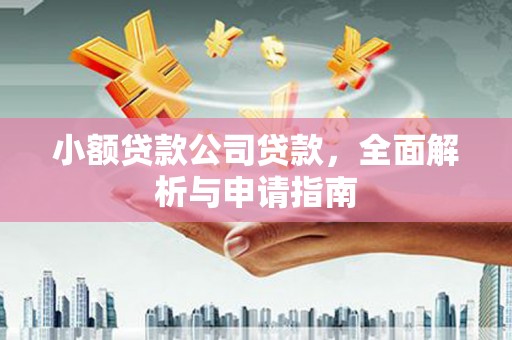 合川小额贷款公司贷款，全面解析与申请指南