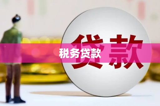 合川税务贷款