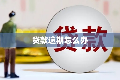 合川贷款逾期怎么办