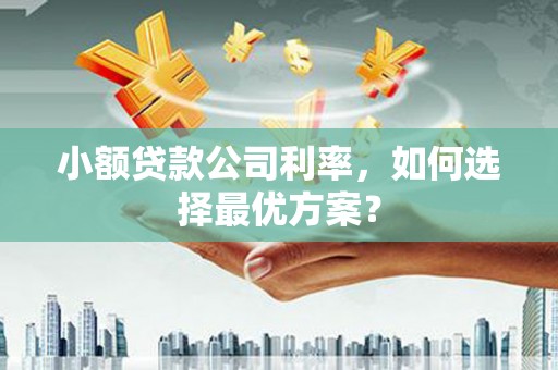 合川小额贷款公司利率，如何选择最优方案？