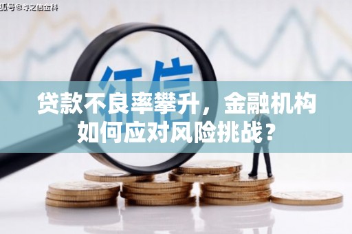 合川贷款不良率攀升，金融机构如何应对风险挑战？