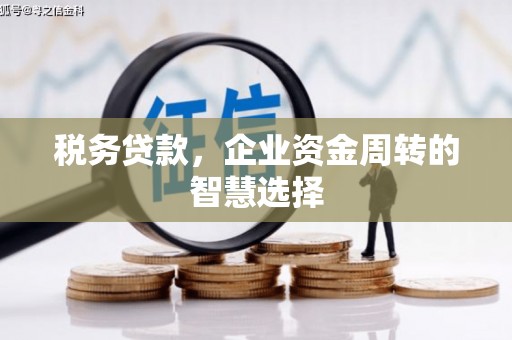 合川税务贷款，企业资金周转的智慧选择