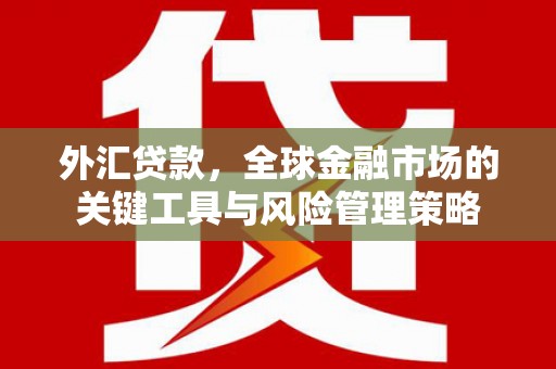 合川外汇贷款，全球金融市场的关键工具与风险管理策略