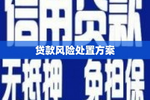 合川贷款风险处置方案