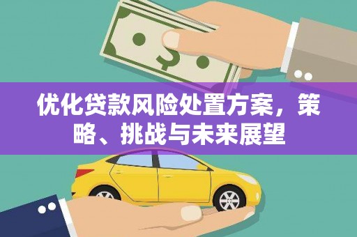 合川优化贷款风险处置方案，策略、挑战与未来展望