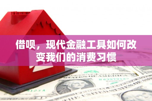 合川借呗，现代金融工具如何改变我们的消费习惯