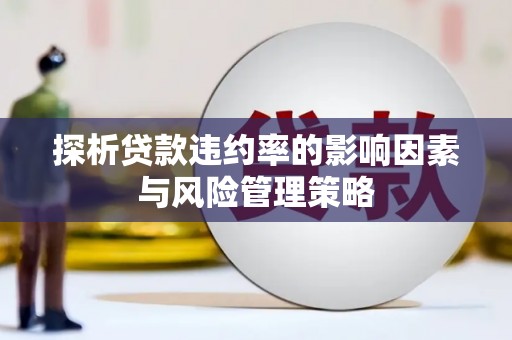 合川探析贷款违约率的影响因素与风险管理策略