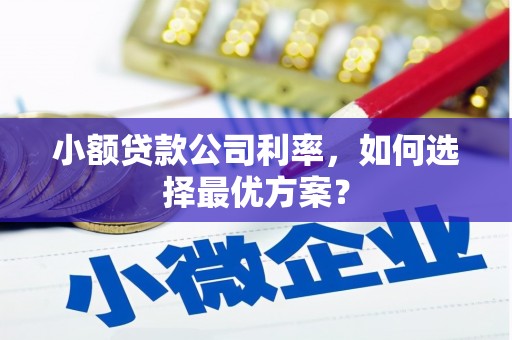 合川小额贷款公司利率，如何选择最优方案？