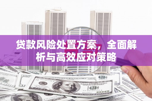 合川贷款风险处置方案，全面解析与高效应对策略
