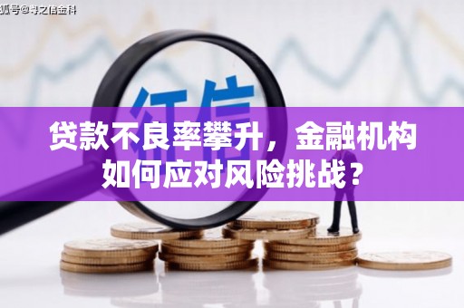 合川贷款不良率攀升，金融机构如何应对风险挑战？