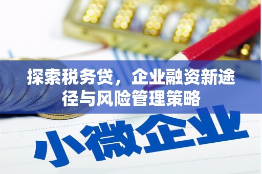 合川探索税务贷，企业融资新途径与风险管理策略