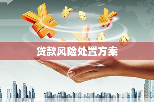 合川贷款风险处置方案