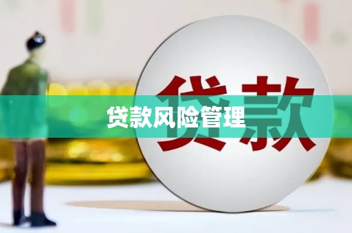 合川贷款风险管理