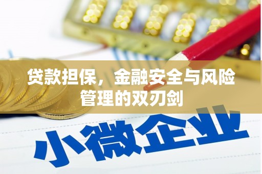 合川贷款担保，金融安全与风险管理的双刃剑
