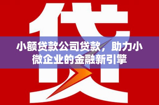 合川小额贷款公司贷款，助力小微企业的金融新引擎