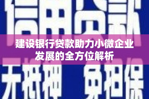 合川建设银行贷款助力小微企业发展的全方位解析