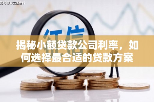 合川揭秘小额贷款公司利率，如何选择最合适的贷款方案