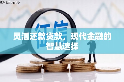 合川灵活还款贷款，现代金融的智慧选择