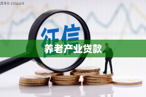 合川养老产业贷款