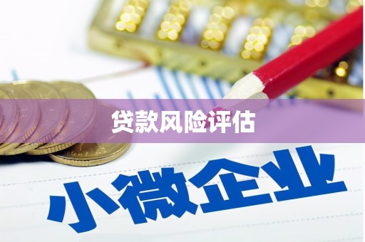 合川贷款风险评估