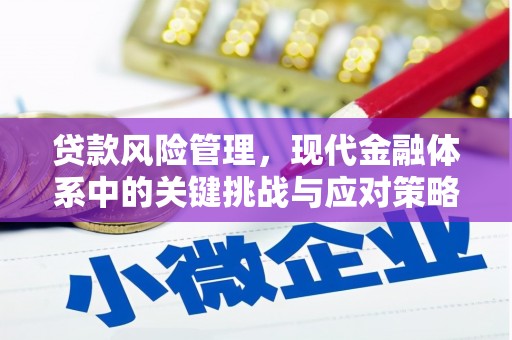 合川贷款风险管理，现代金融体系中的关键挑战与应对策略