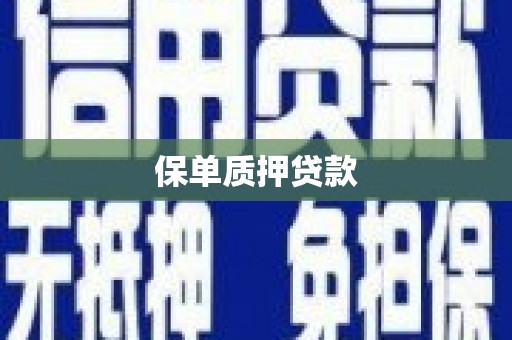 合川保单质押贷款