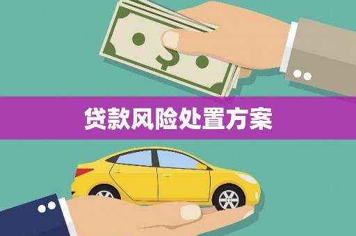 合川贷款风险处置方案
