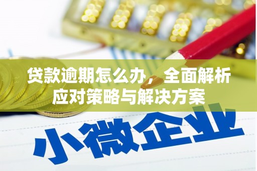 合川贷款逾期怎么办，全面解析应对策略与解决方案