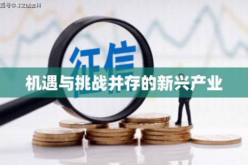 合川机遇与挑战并存的新兴产业