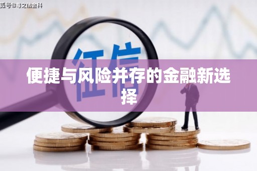 合川便捷与风险并存的金融新选择