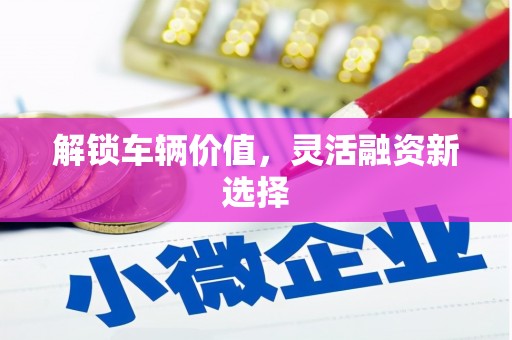 合川解锁车辆价值，灵活融资新选择