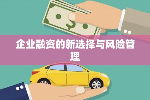合川企业融资的新选择与风险管理