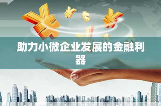 合川助力小微企业发展的金融利器